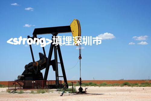 <strong>填埋深圳市危險(xiǎn)廢物處理站有限公司化工設(shè)施安全解體：如何高效處理復(fù)雜工業(yè)遺留問(wèn)題？</strong>